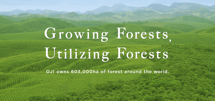 Growing Forests