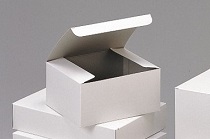 Folding Carton