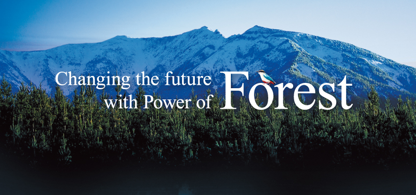 森の力で未来を変える。