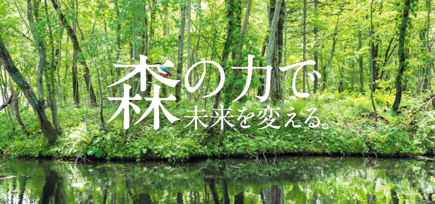 森と水の美しき循環