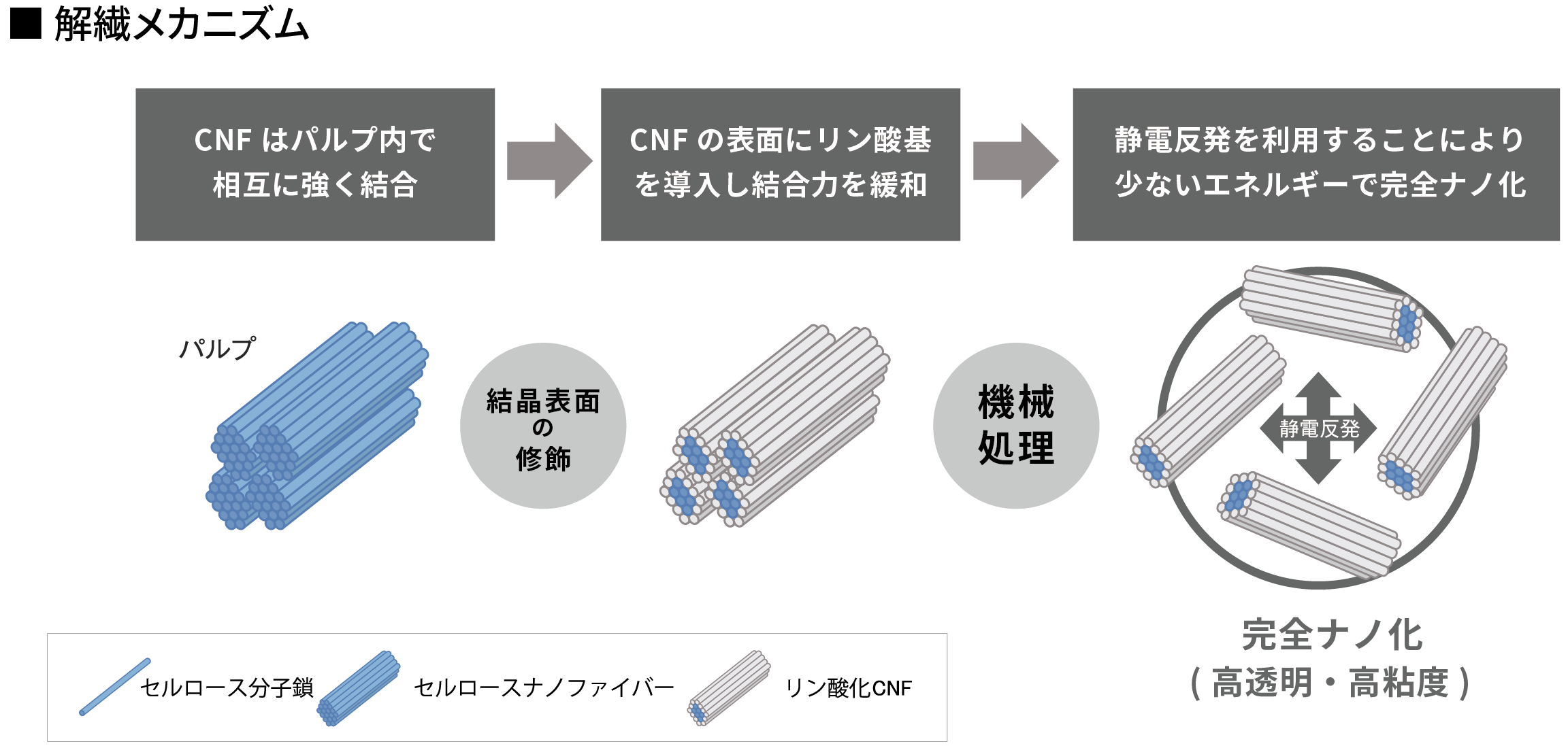 セルロースナノファイバー(CNF)の製造過程を示す図。パルプから結晶表面の修飾、リン酸基の導入、静電反発を利用して機械処理し、少ないエネルギーで完全ナノ化(高透明・高粘度)する過程が説明されている。