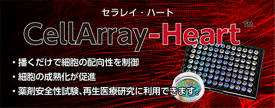 CellArray-Heart(セラレイ・ハート)。播くだけで細胞の配向性を制御。細胞の成熟化が促進。薬剤安全性試験、再生医療研究に利用できます。