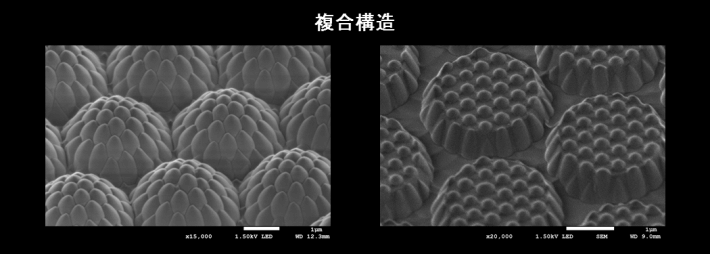 複合構造の電子顕微鏡画像。球状の構造物が蜂の巣状に密集している表面が示されている。
