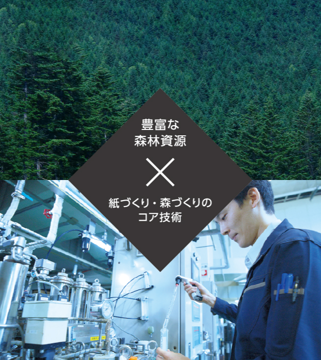 豊富な森林資源×紙づくり・森づくりのコア技術