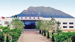 Photo: Dalian Mori Mitsui Packaging Co., Ltd.