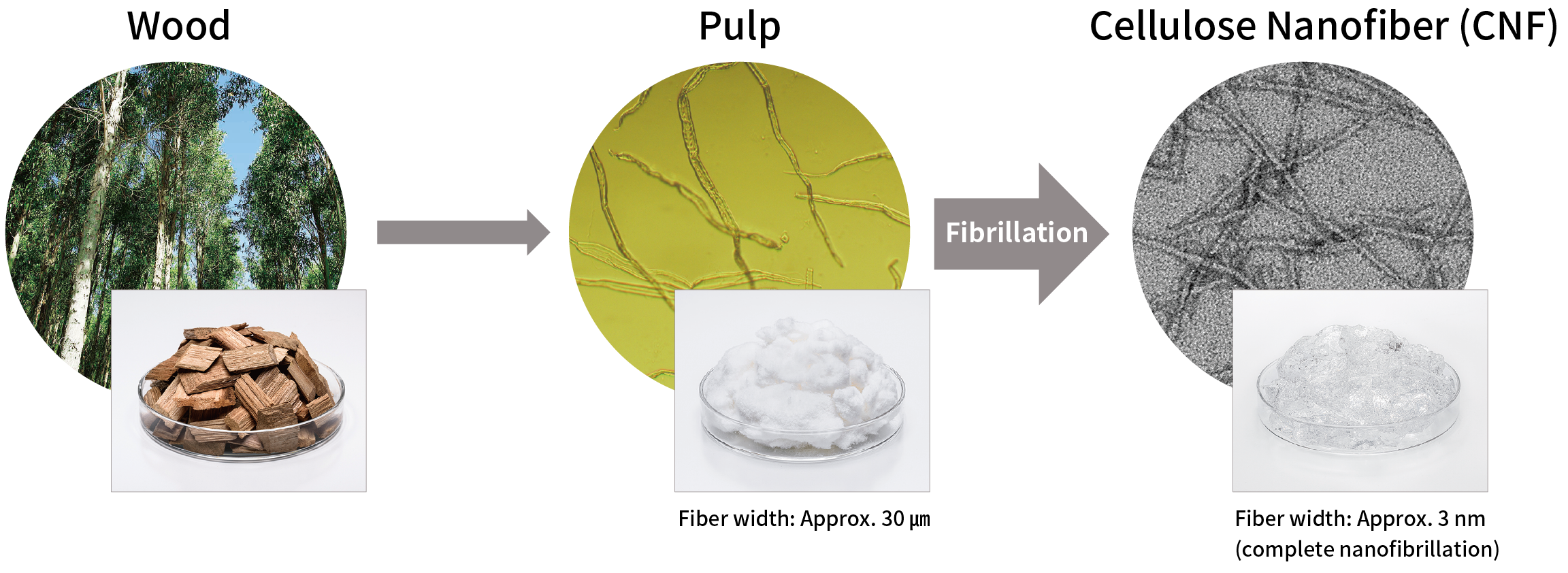 The figure shows the process from tree to cellulose nanofiber (CNF) through the valve and defibrillation. The fiber width is 30 µm from the tree and finally 3 nm (fully nanosized) in CNF.
