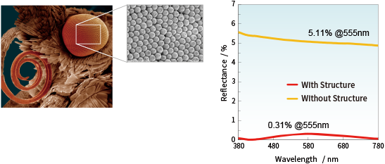 Image showing the surface structure of an insect's eye and its magnified view. The microstructure is magnified on the right, and the reflectance graph shows that with structure (red line) the reflectance is 0.31% @555nm and without structure (yellow line) is 5.11% @555nm.