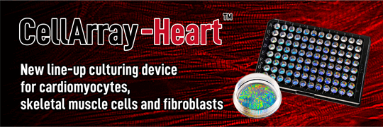 CellArray-Heart: Simply by seeding, it controls cell alignment and promotes cell maturation.
It can be used for drug safety testing and regenerative medicine research.