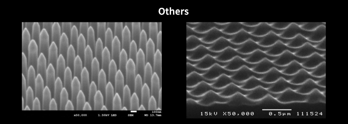 Electron microscope images of other microstructures. Shown are regularly arranged microscopic protrusions and wavy surface patterns.