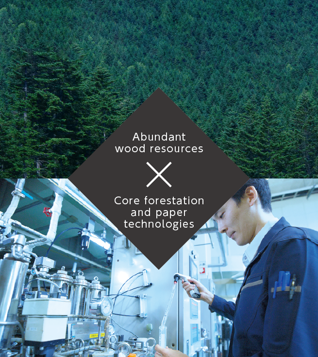 Wealth of forest resources, Core technologies for forestation and paper manufacturing