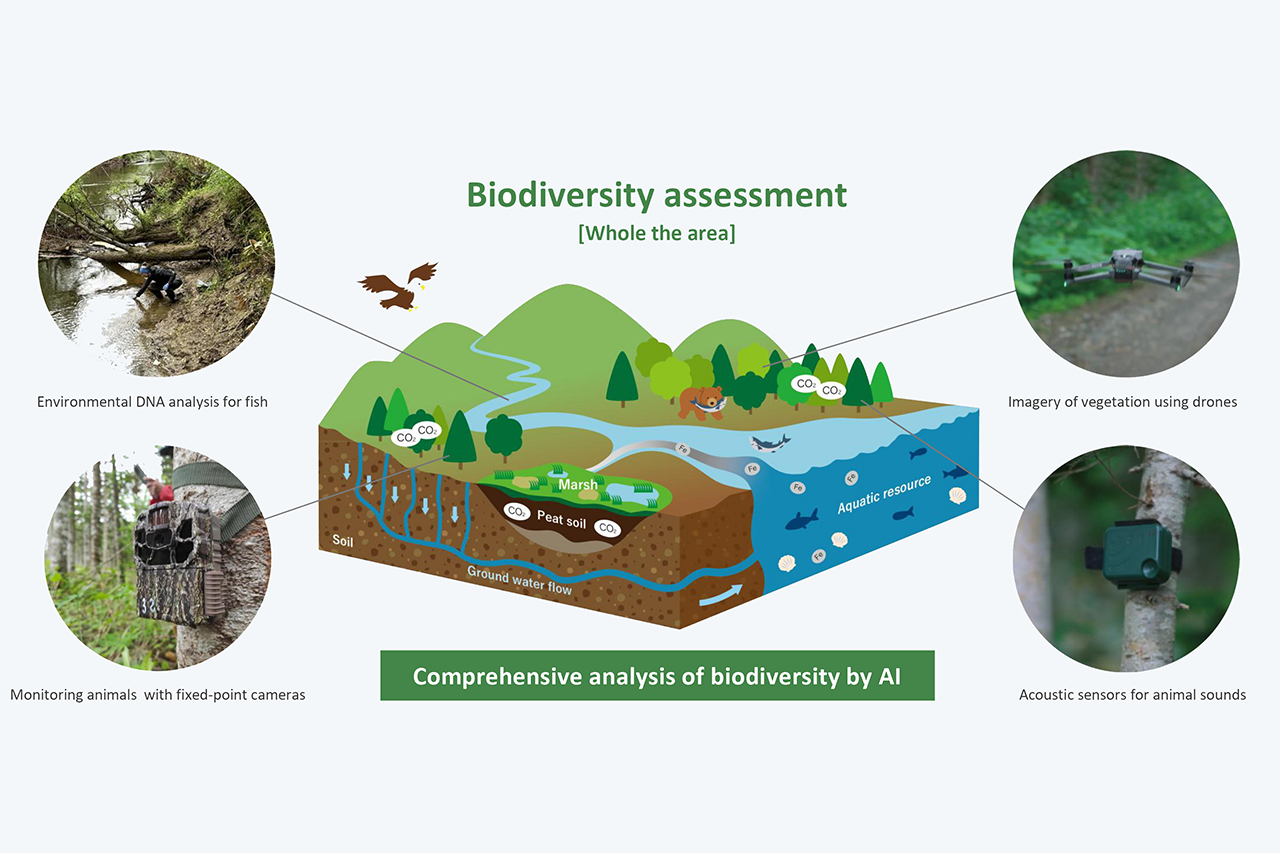 Conceptual Diagram of Biodiversity Assessment across the Entire Sarufutsu Forest: Fish populations are identified through environmental DNA analysis, vegetation is monitored using drones, bird species and other fauna are tracked using acoustic analysis sensors, and animals are captured via fixed-point cameras. Comprehensive biodiversity analysis is conducted using AI.
