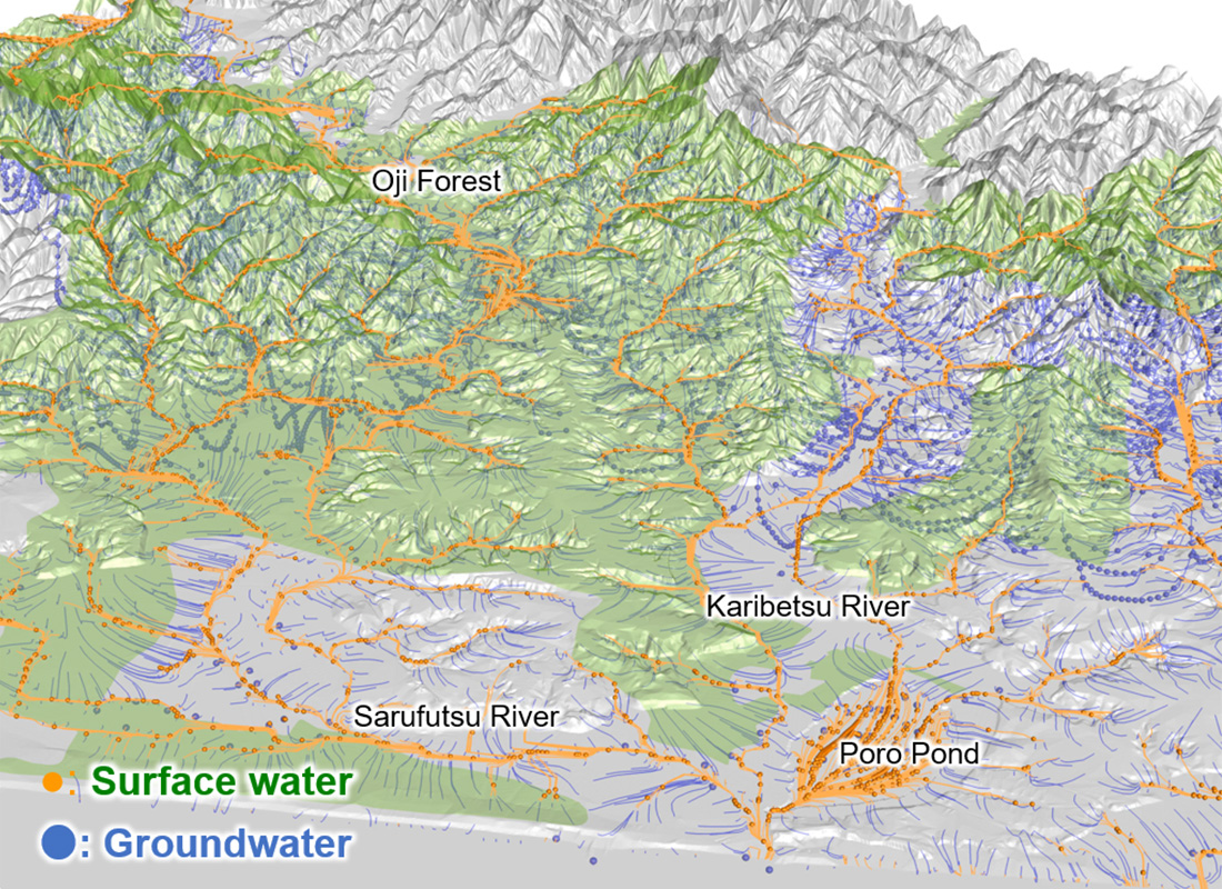 A map showing the flow of surface water and groundwater in Oji’s Forest (Sarufutsu Forest). Surface water refers to rain that runs off on the land surface or flows above ground, such as in rivers. Groundwater refers to rainwater that infiltrates the ground and flows underground. The map illustrates that Oji’s Forest stores a large amount of groundwater and plays a key role in water resource conservation.