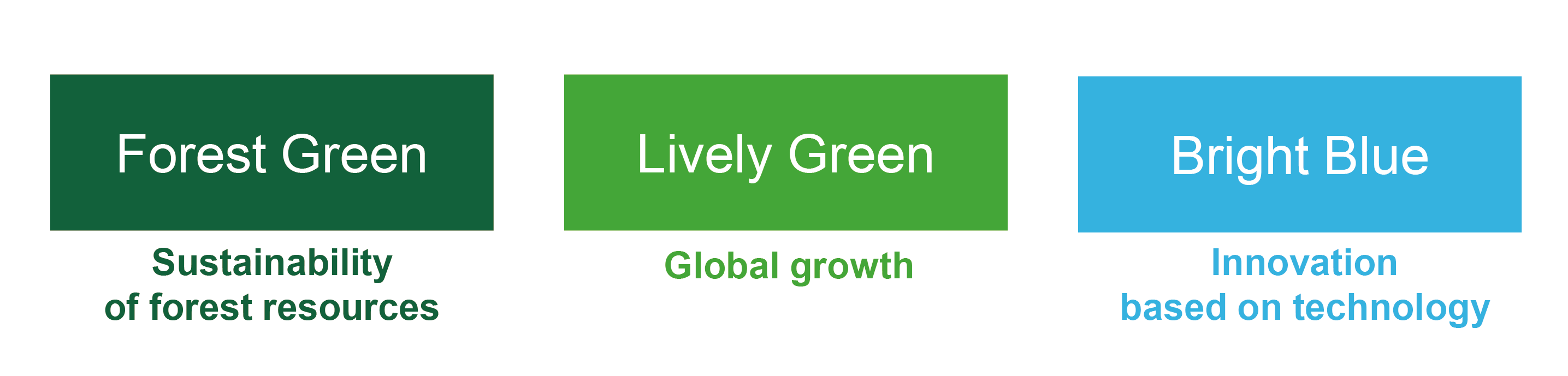 Forest Green:Sustainability of forest resources Lively Green:Global growth Bright Blue:Innobation based on technology