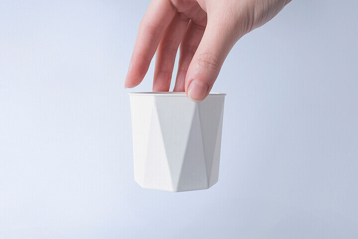 Molded Pulp
