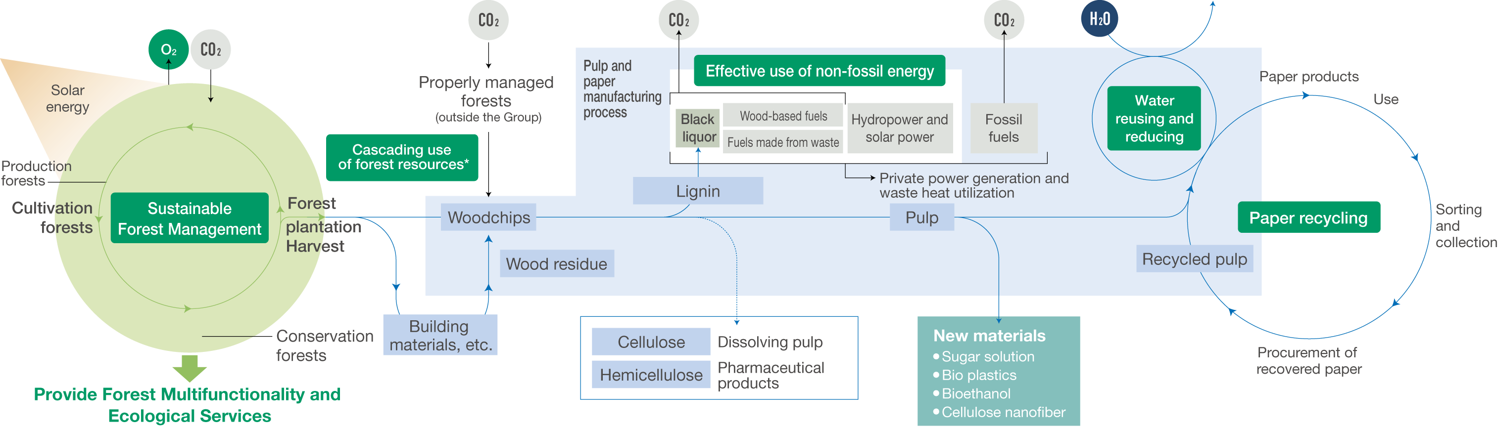 Circular use of renewable resources conceptual drawing。新規ウィンドウで開きます