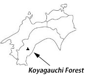 Map showing the location of Kiyagauchi Forest