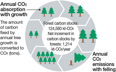 Figure showing the amount of CO2 fixed and absorbed