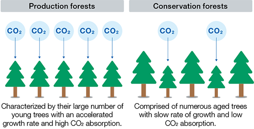 Expansion of afforestation areas