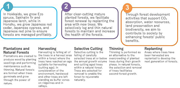 Diagram showing the basic policy