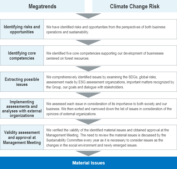 Process for Identifying Material Issues