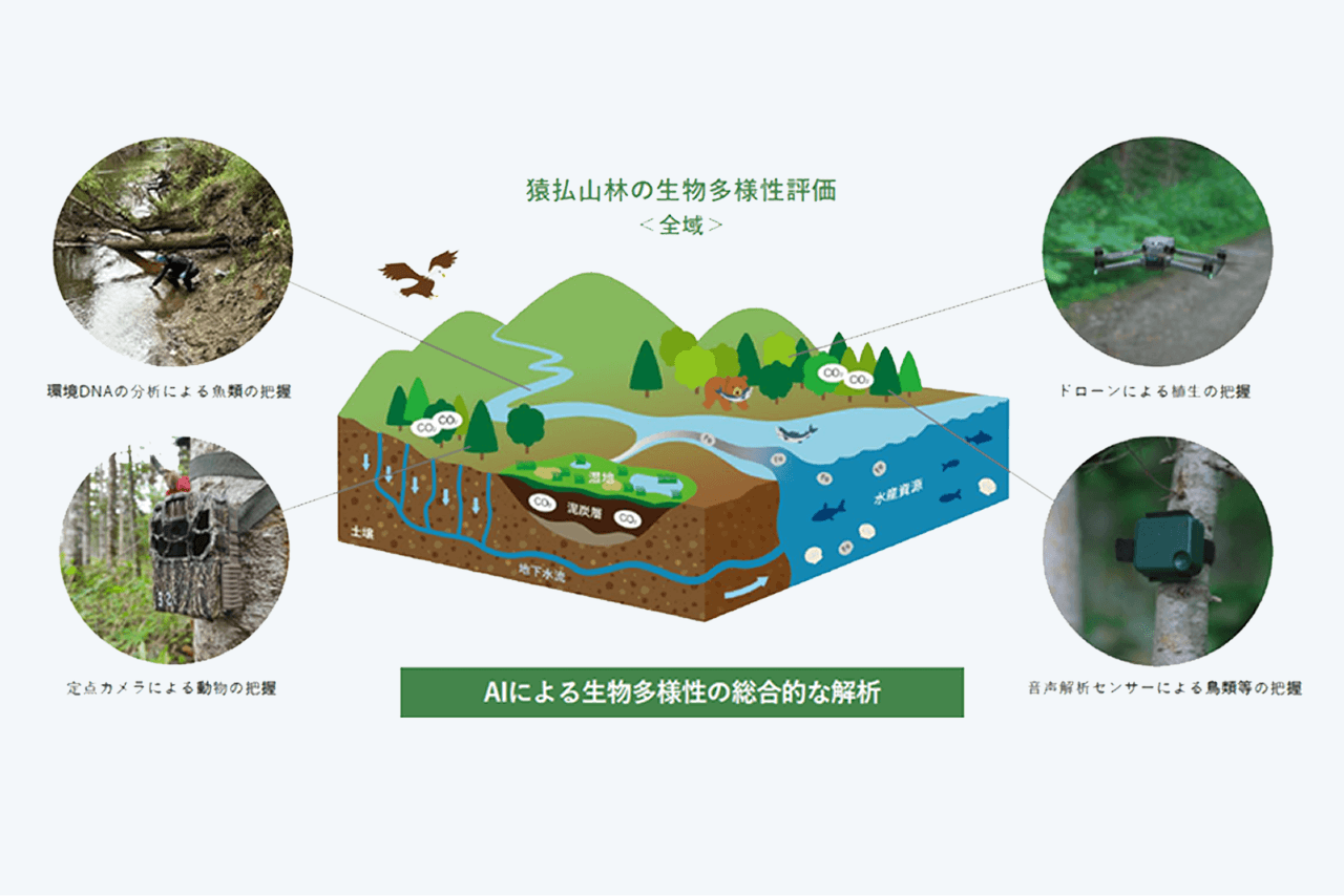 猿払山林全域の生物多様性評価概念図: 環境DNAの分析による魚類の把握、ドローンによる植生の把握、音声解析センサーによる鳥類等の把握、定点カメラによる動物の把握を行い、AIを用いて生物多様性の総合的な解析を行う