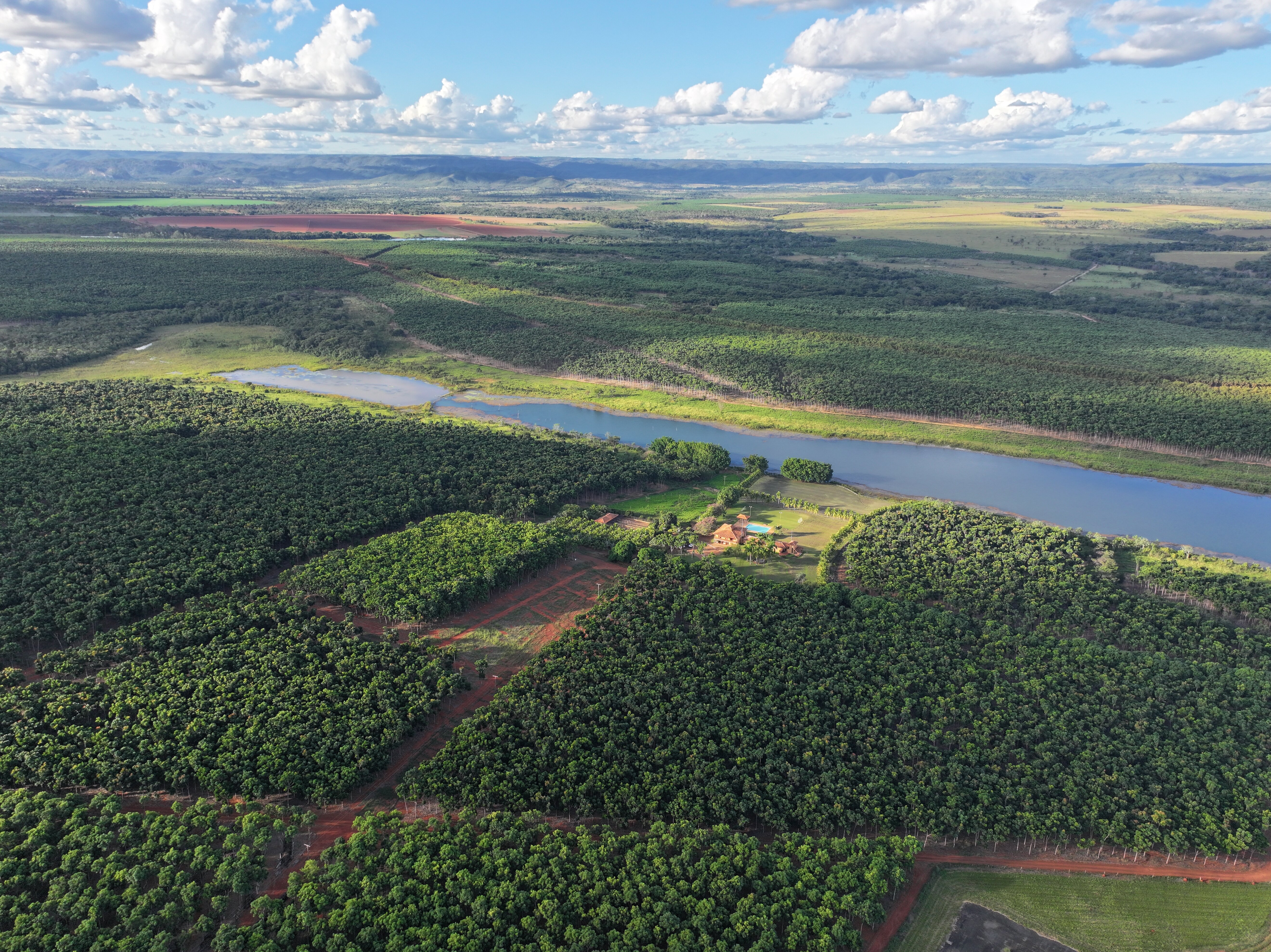 写真: Mogno Das Alterosas Investimentos Florestais S.A.