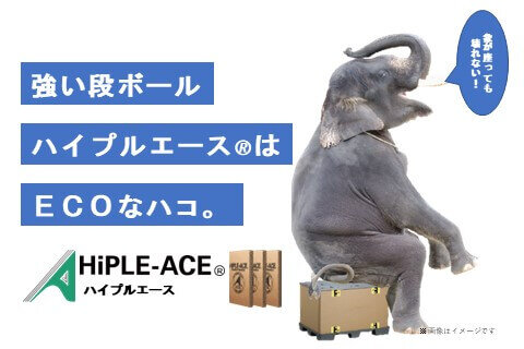王子インターパック株式会社