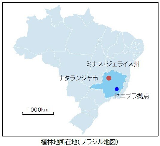 画像：植林地所在地（ブラジル）