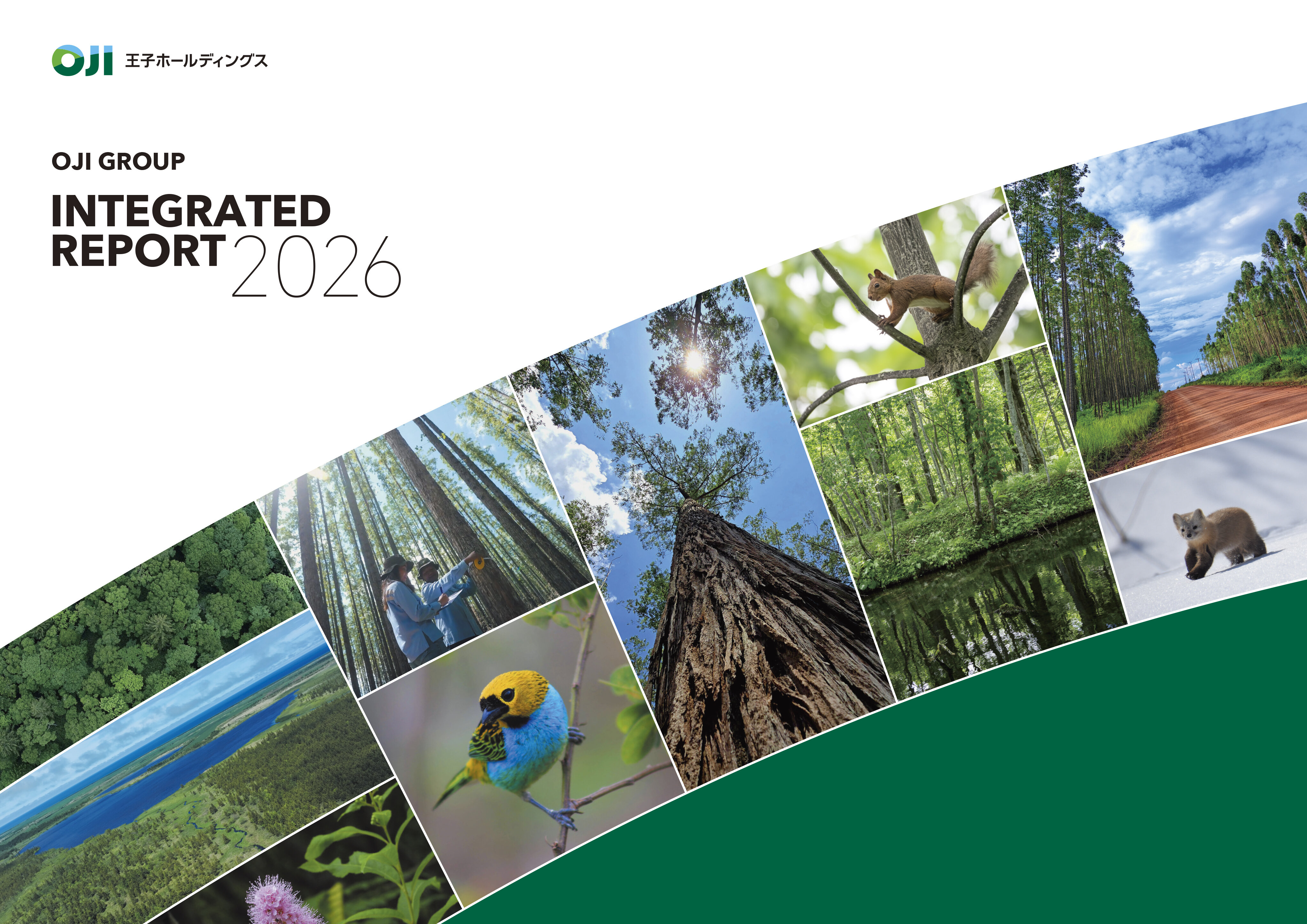 。新規ウィンドウで開きます