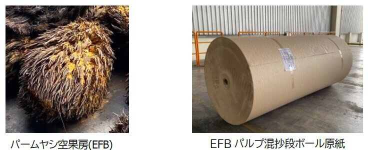 画像:パームヤシ空果房(EFB)とパルプ混抄段ボール原紙
