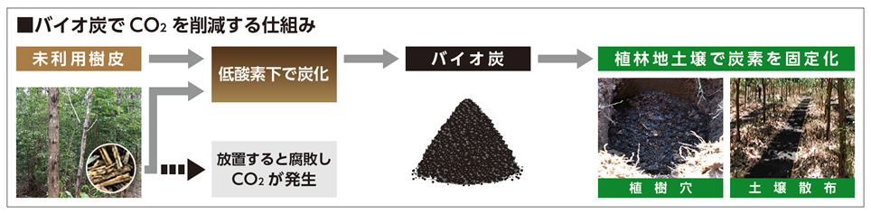画像:バイオ炭でCO2を削減する仕組み