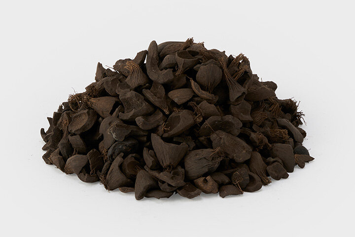 Fuel for biomass power generation Palm kernel shells (PKS)