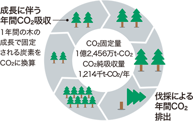 CO2固定量と吸収量を示した図
