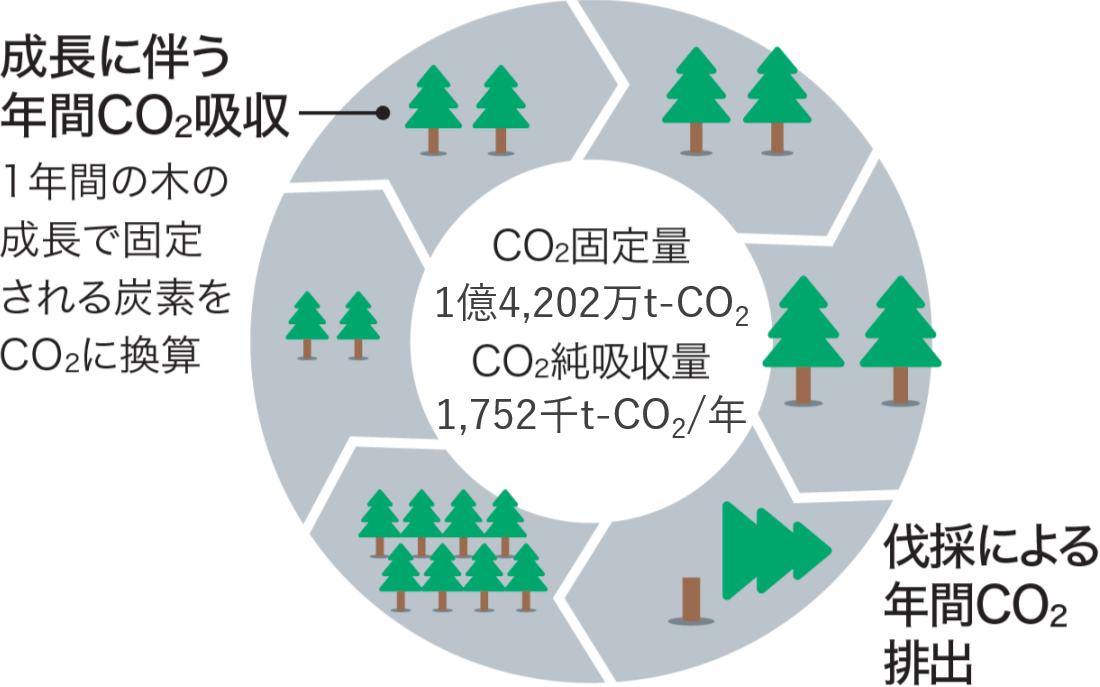 CO2固定量と吸収量を示した図