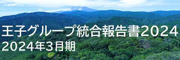 統合報告書