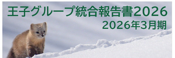 統合報告書